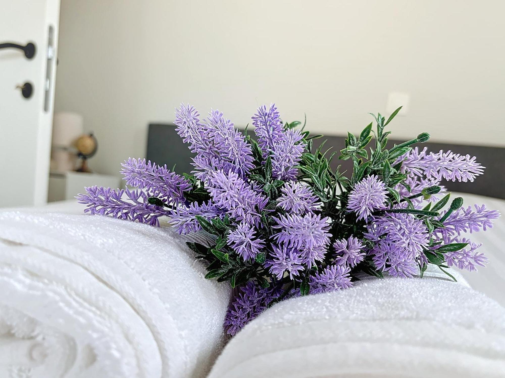 Flat Monaco - Monte Carlo - Roma Apartment เดอปาน ภายนอก รูปภาพ